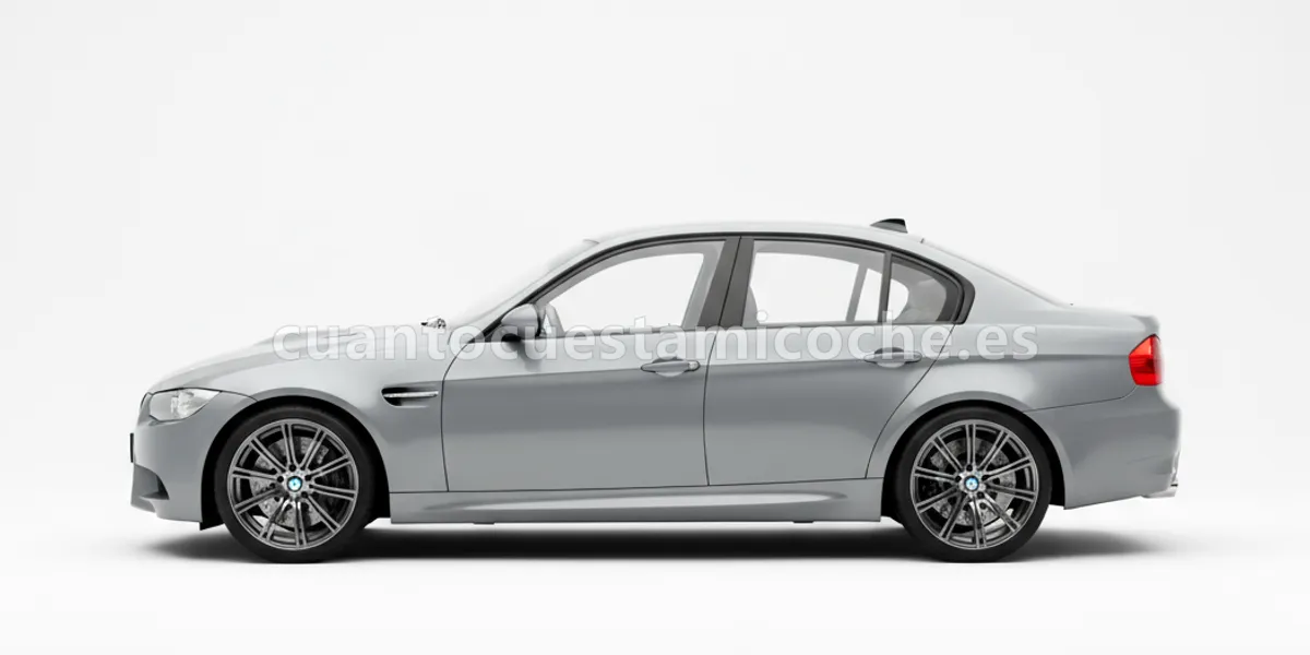 BMW Serie 3 (2009–2011)