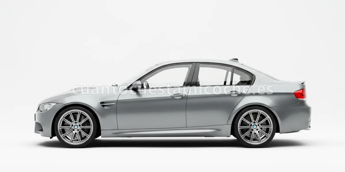 BMW Serie 3 (2012–2014)