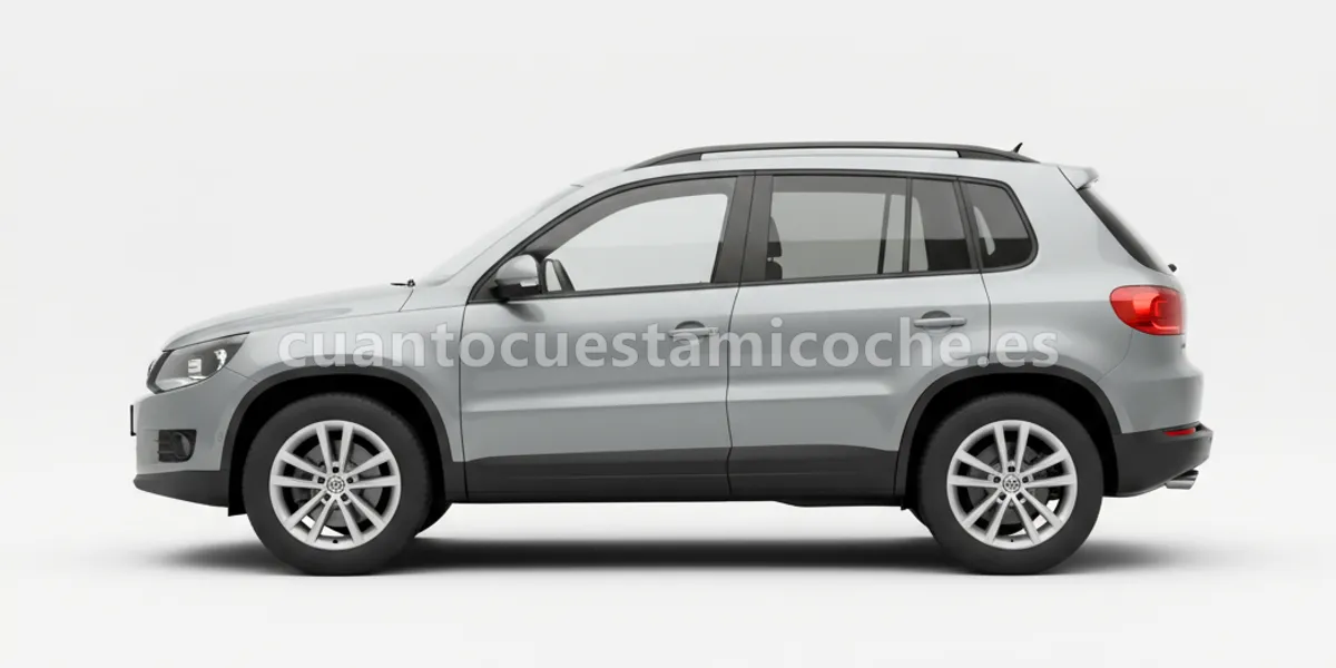 Volkswagen Tiguan (2008–2010)